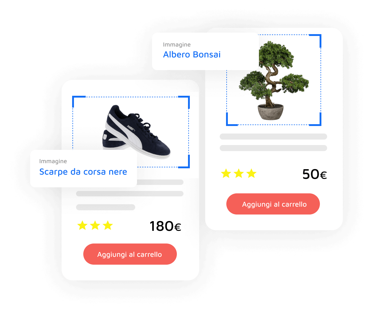 Illustrazione di AccessWay che riconosce l’immagine di un Bonsai ed un paio di scarpe nere