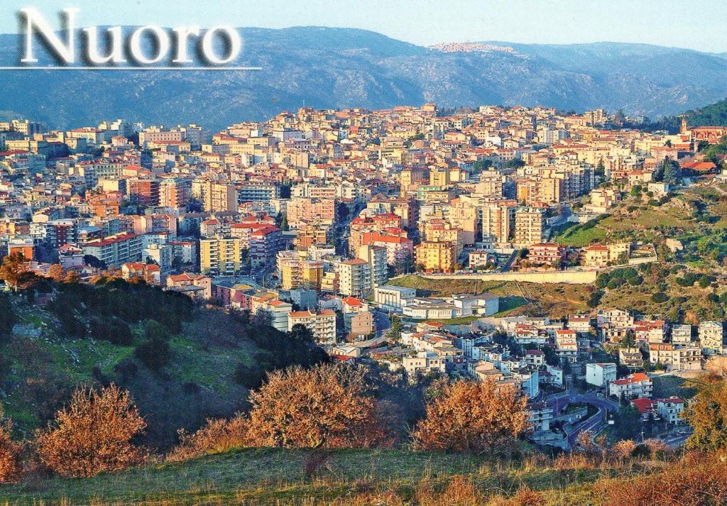 Vista sul Comune di Nuoro